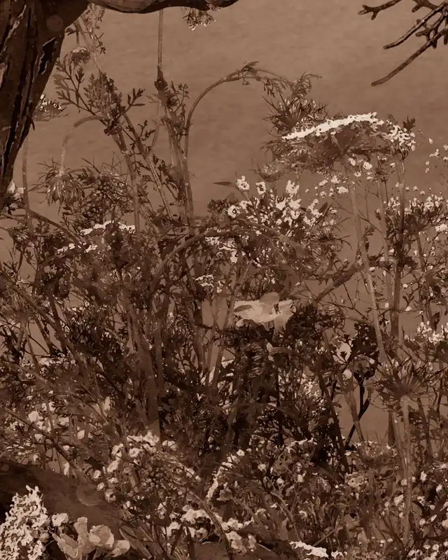 Akwarel Jezioro - Atrament Sepia Oferta limitowana