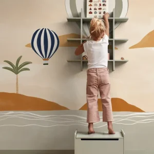 Balony na ogrzane powietrze na pustyni Wybór klientów