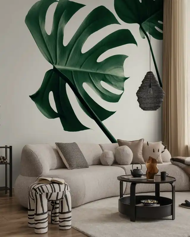 Szybka wysyłka Monstera Naturalny XLVII