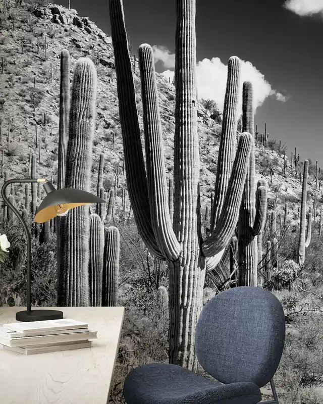 Czarny Arizona - Las Kaktusowy Cena promocyjna