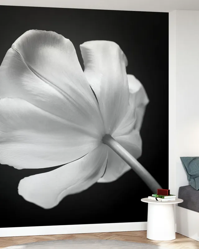 Tulipany Bezpieczne zakupy