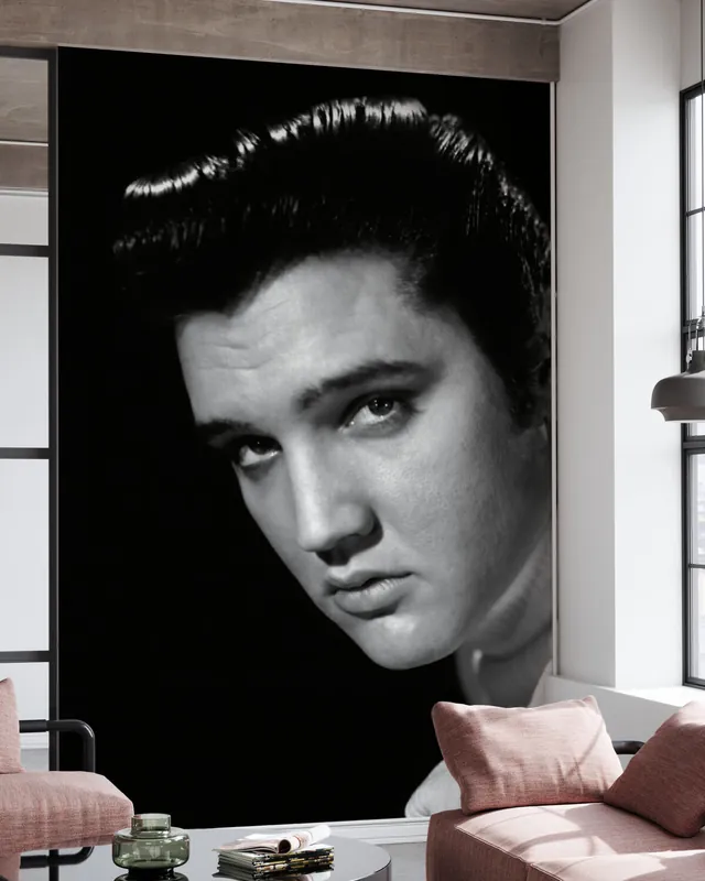 Dodaj do koszyka Elvis Presley