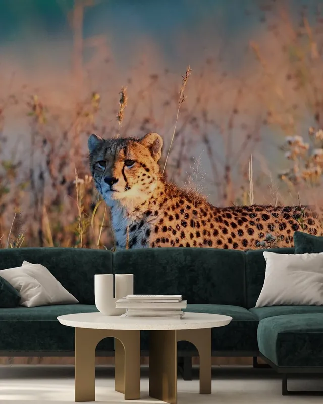 Gepard w porannym świetle Cena promocyjna