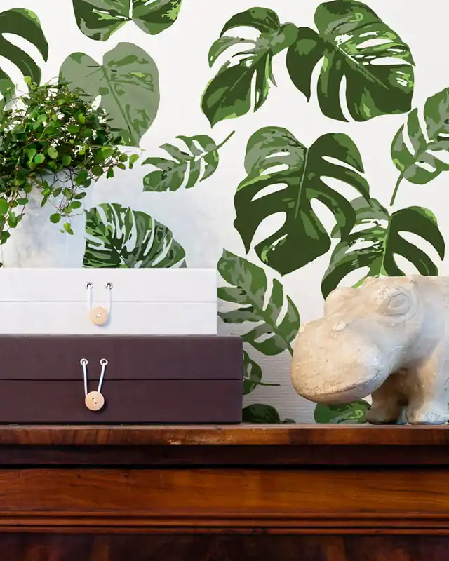 Monstera nr 6 Dostępne od ręki